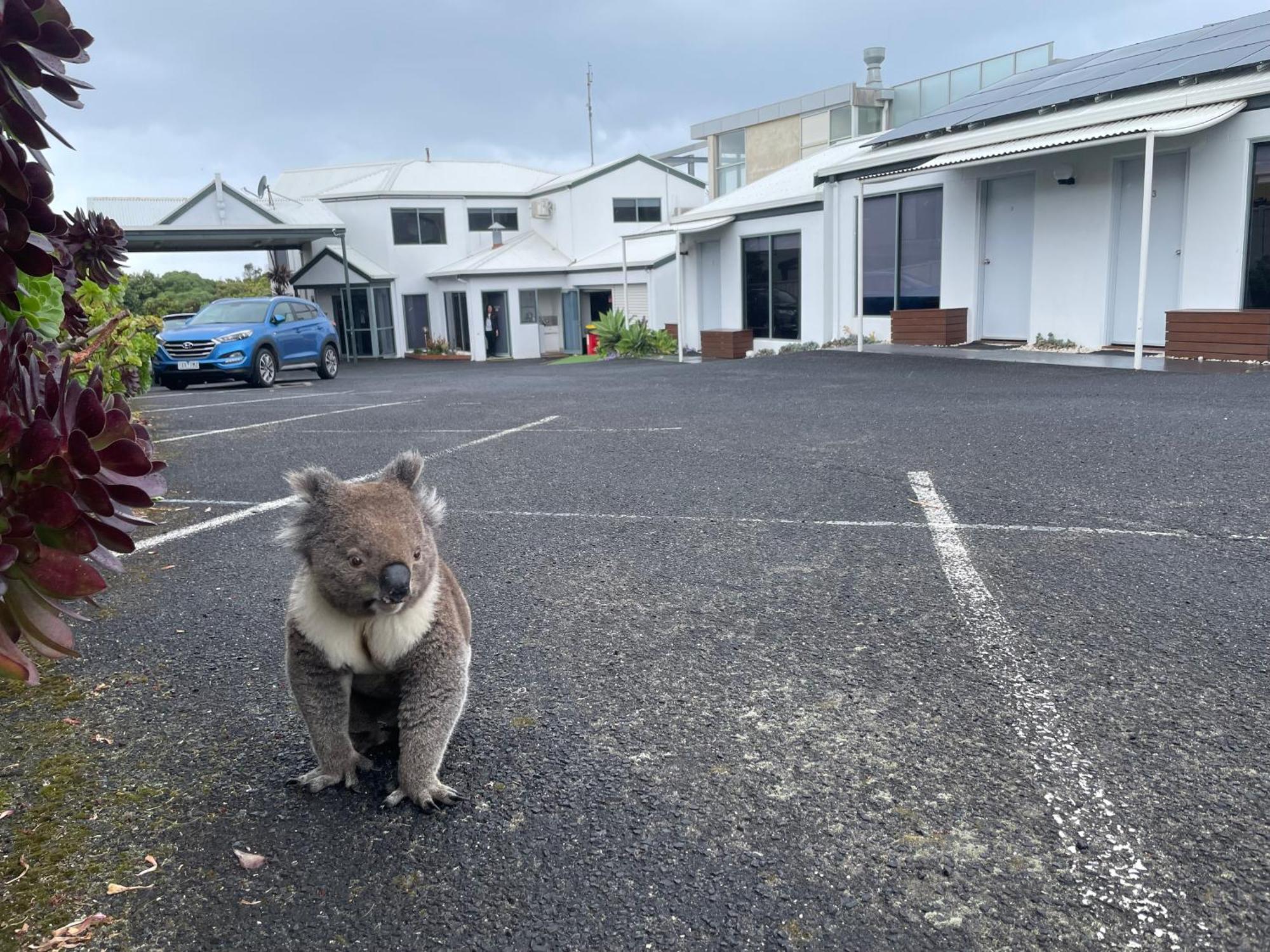 Motel Coastal 4*